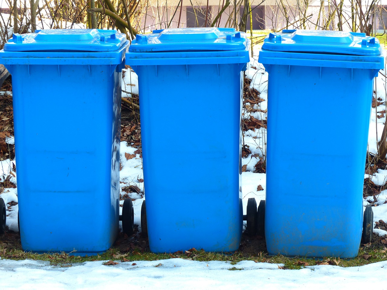Blaue Papiertonne vor Haus gestohlen