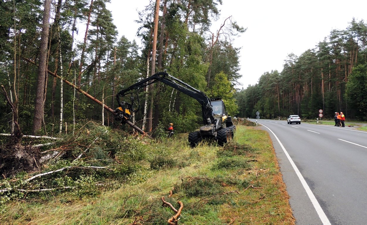 Holzrücken nach „Fabienne“