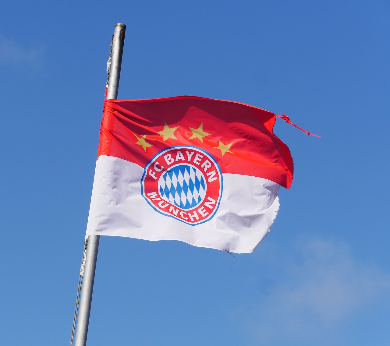 Bayern-Flaggen aus Teppichgeschäft gestohlen