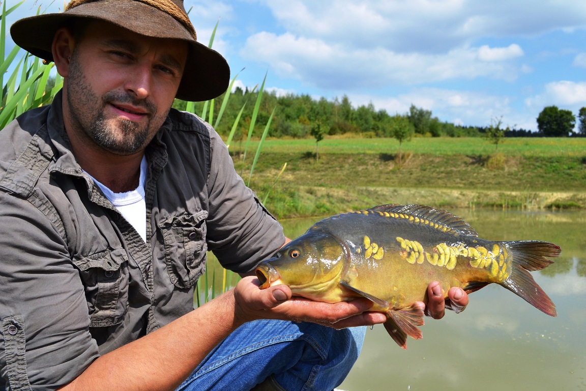 Der Fisch muss schwimmen