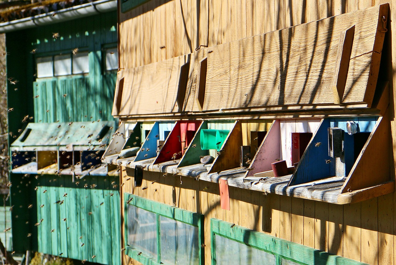 Bienenhaus abgebrannt