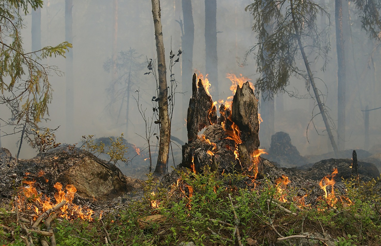 Waldbrand bei Pressath