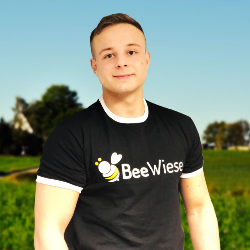 BeeWiese: Vom Acker zur Blumenwiese – interaktiver Artenschutz