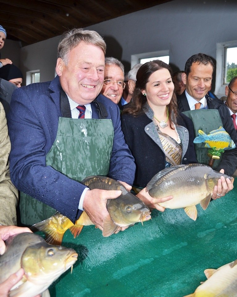Startschuss für Karpfensaison: Geringere Ernte – prächtige Exemplare