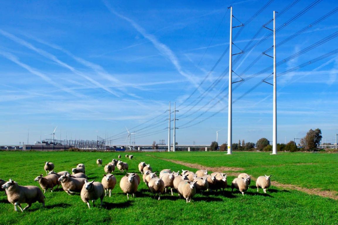 Umdenken bei Tennet: Kompaktmasten beim Ostbayernring?