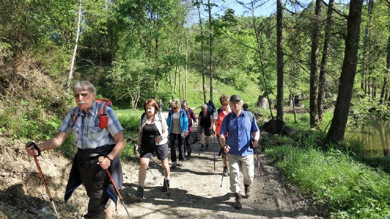21 Kilometer zu Fuß: OWV Moosbach Goldsteigwanderung nach Passau