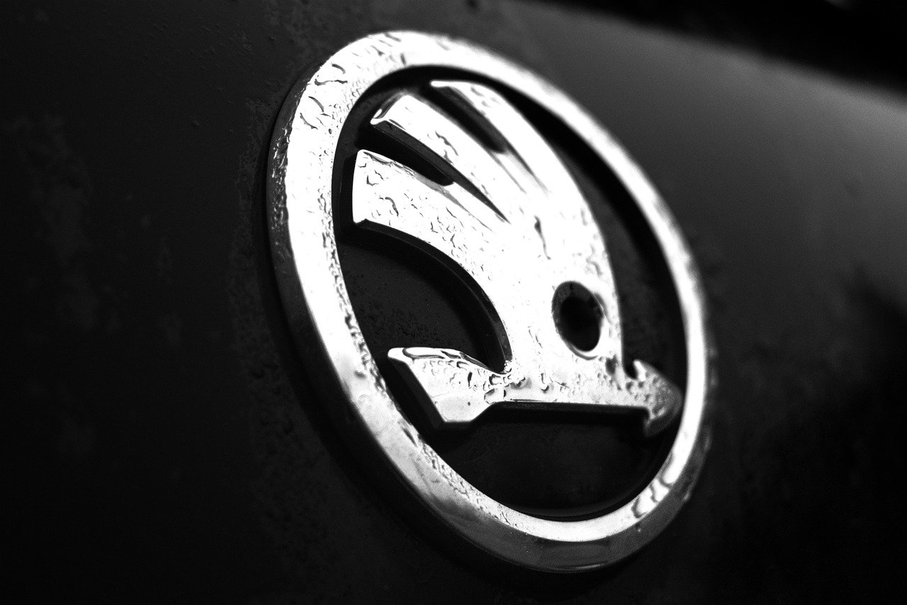 Skoda aus Hofeinfahrt gestohlen