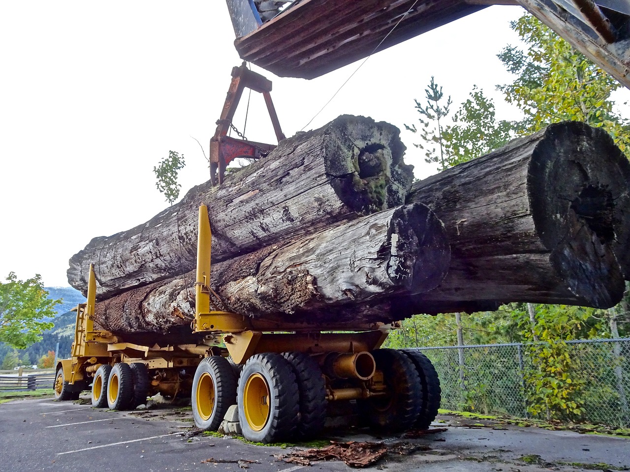 Unfallflucht: Holztransport-Fahrer gesucht!