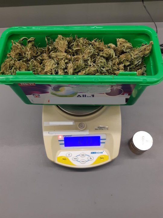 Marihuana in Waschmittelbox versteckt