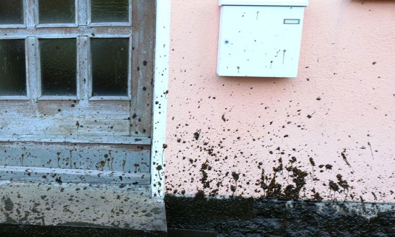 Das stinkt zum Himmel: Hausfassaden mit Mist bespritzt