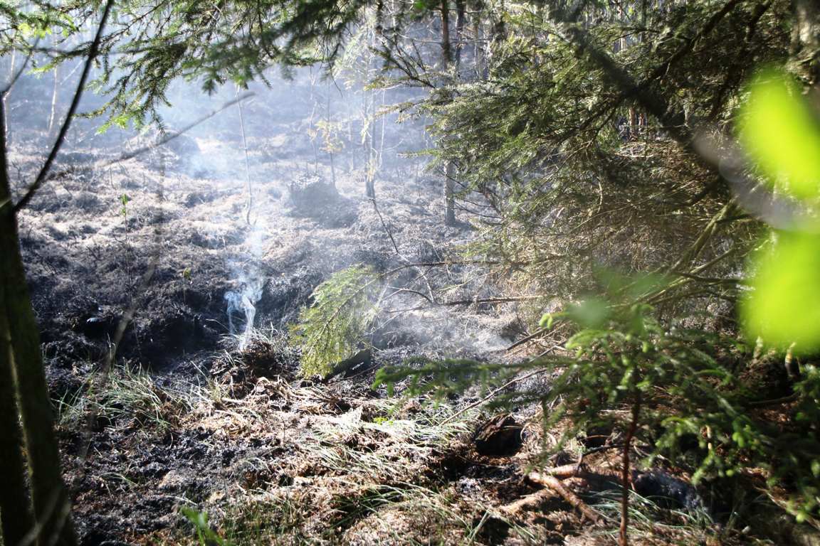 Waldbrand am Brandweiher