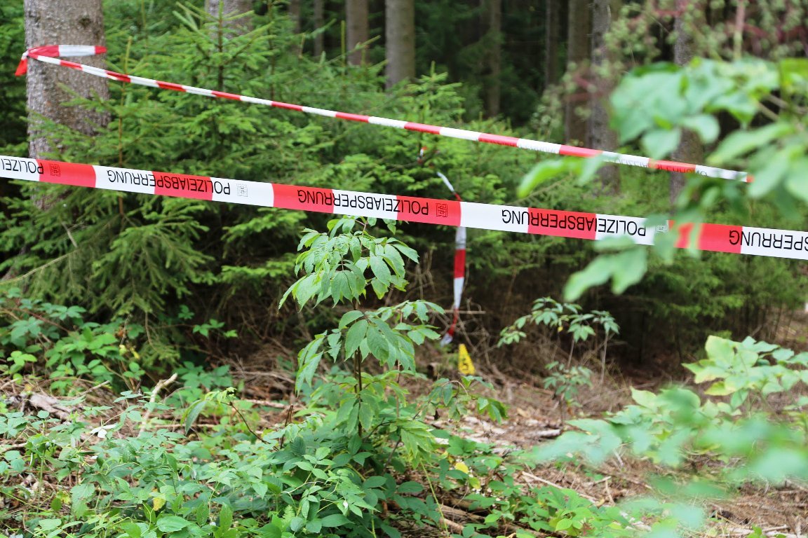 Schädelknochen im Wald: Person identifiziert