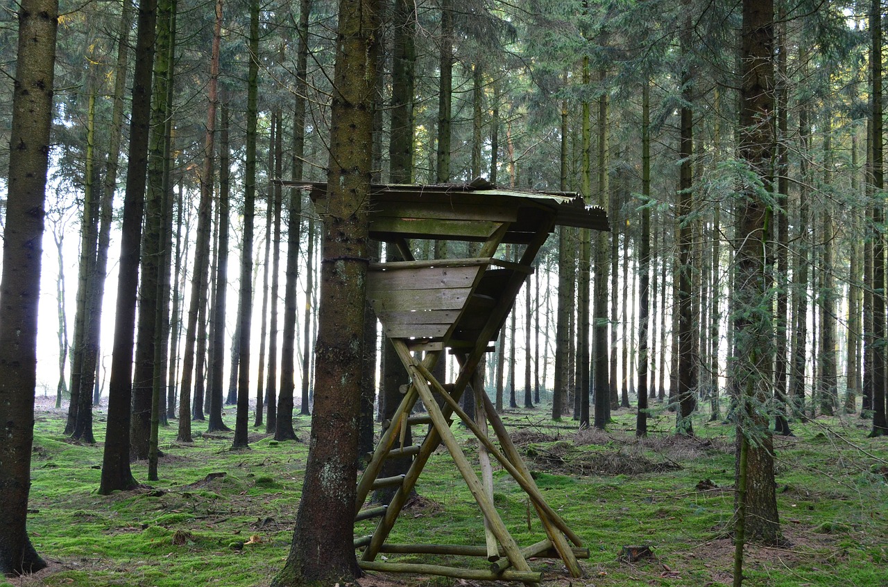 Jagdkanzel in Bechtsrieth versenkt