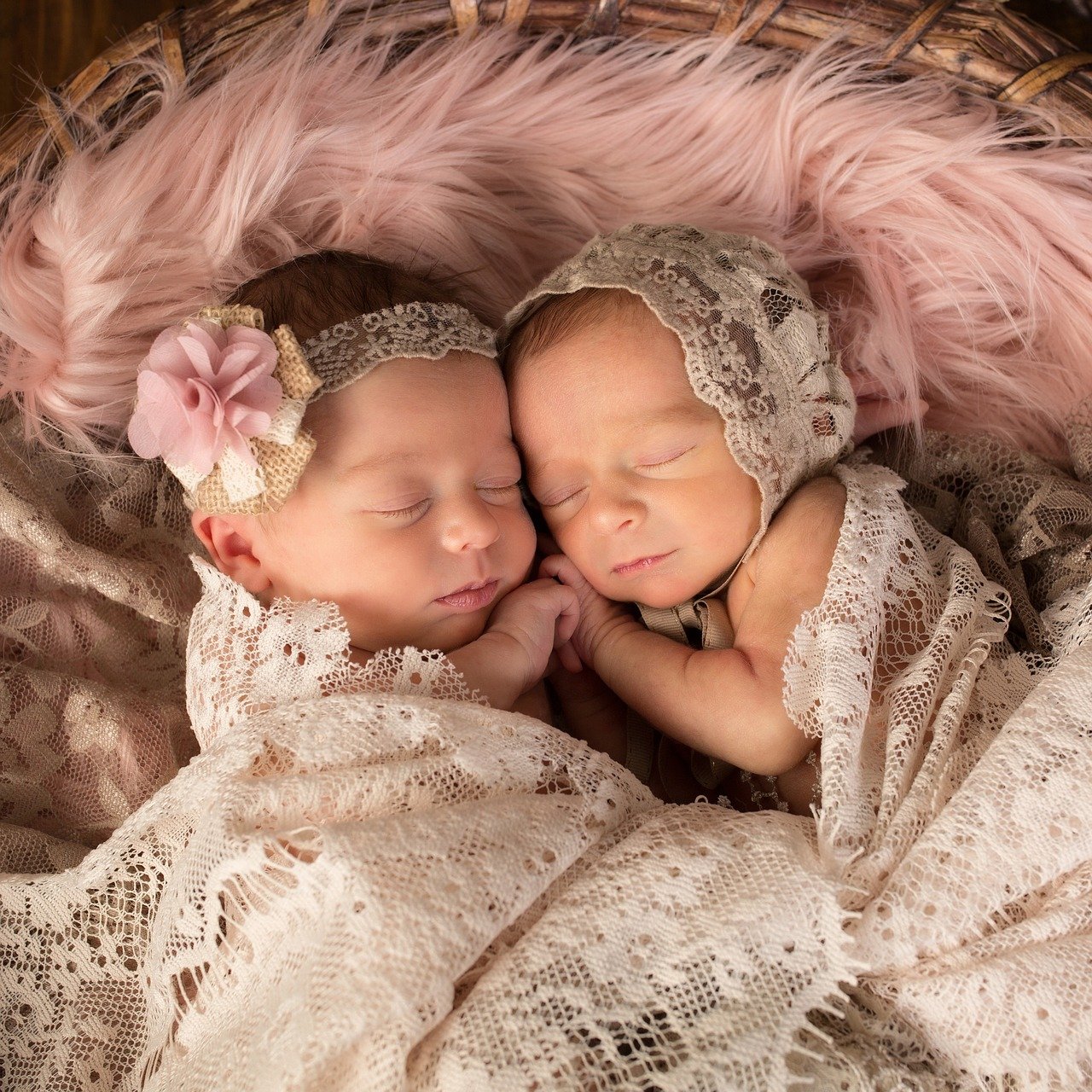 Babys 2018: Kalenderwoche 37