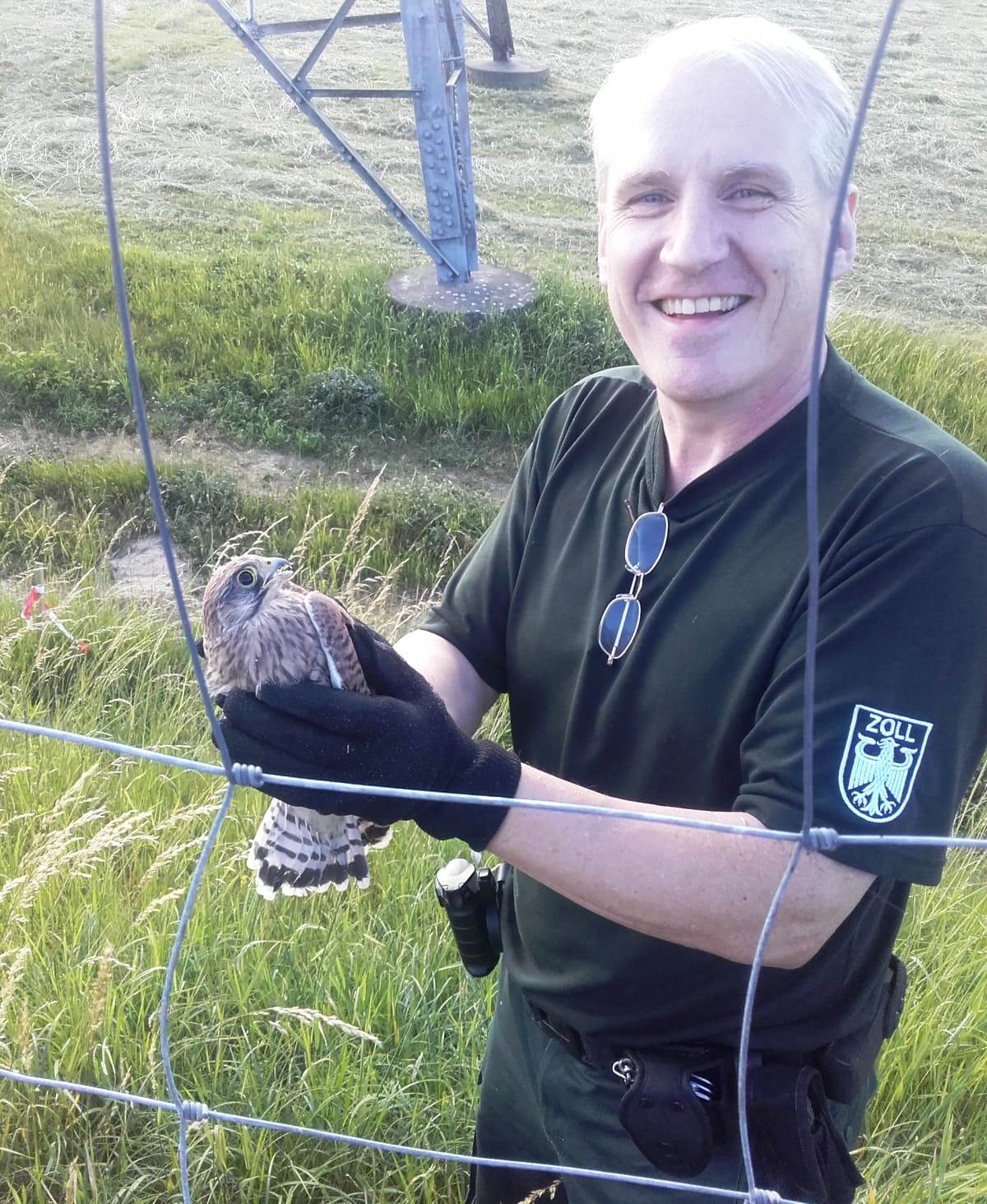 Zöllner als Retter in der Not: Turmfalke befreit