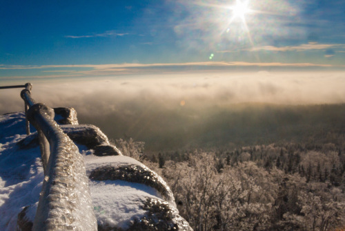 Postkarten-Panoramen im Steinwald