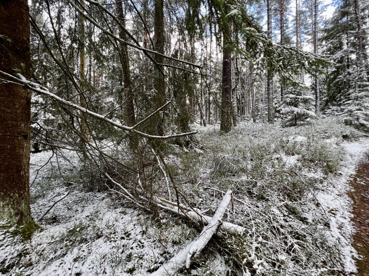 Öko-Modellregion: Die „Elf Freunde“ sind komplett