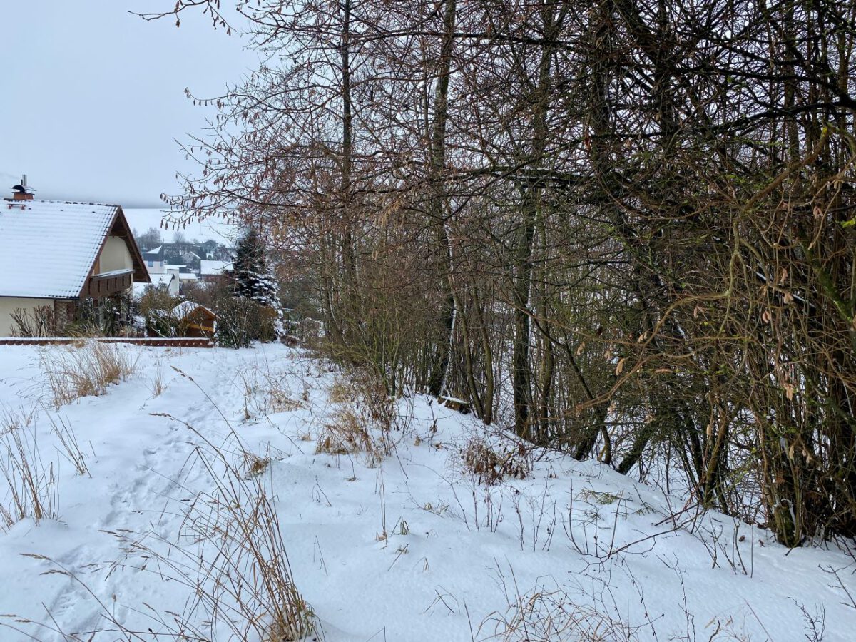 Baumfällungen in Naturschutz-Hecke mehreren Bürgern zu massiv