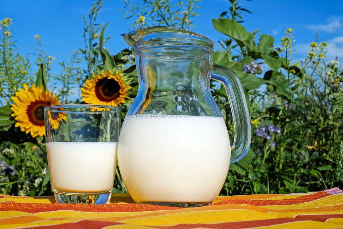 So denkt die Nordoberpfalz über Faire Milch