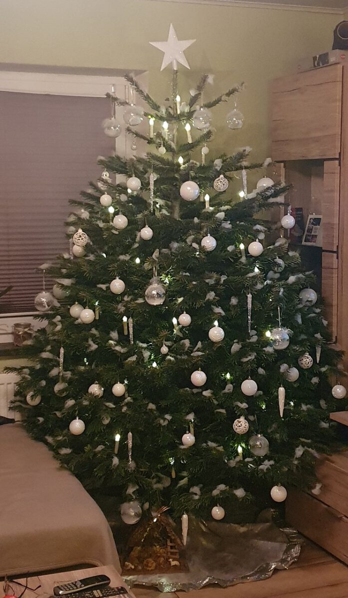 Christbaumloben 2021: Das ist der schönste Baum der Nordoberpfalz