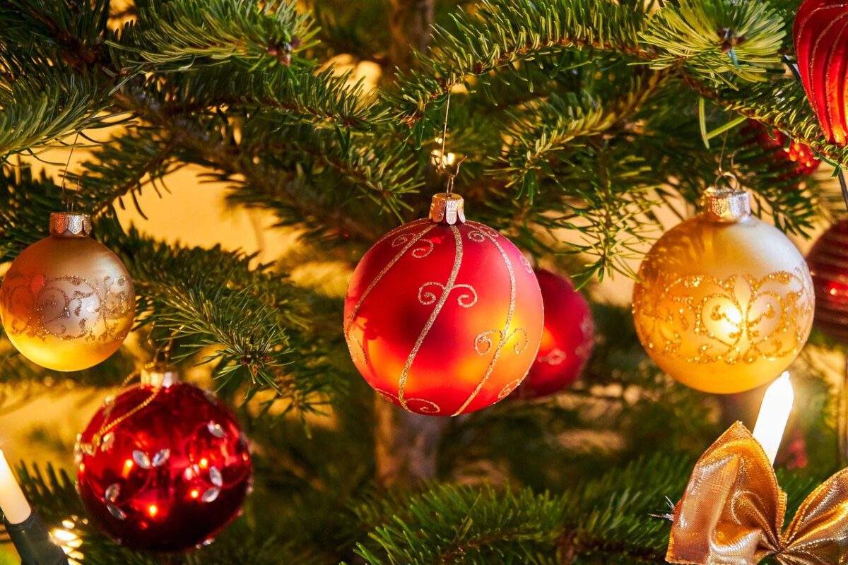 Weihnachtsbaumverkauf: Lions Club stellt sich auch gegen Ausländerhass
