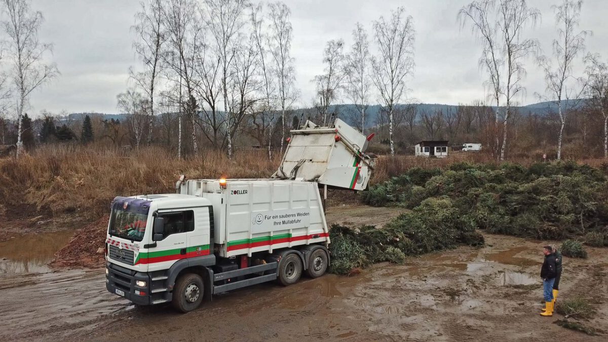 Abhol-Aktionen: So werdet ihr euren ausgedienten Weihnachtsbaum los