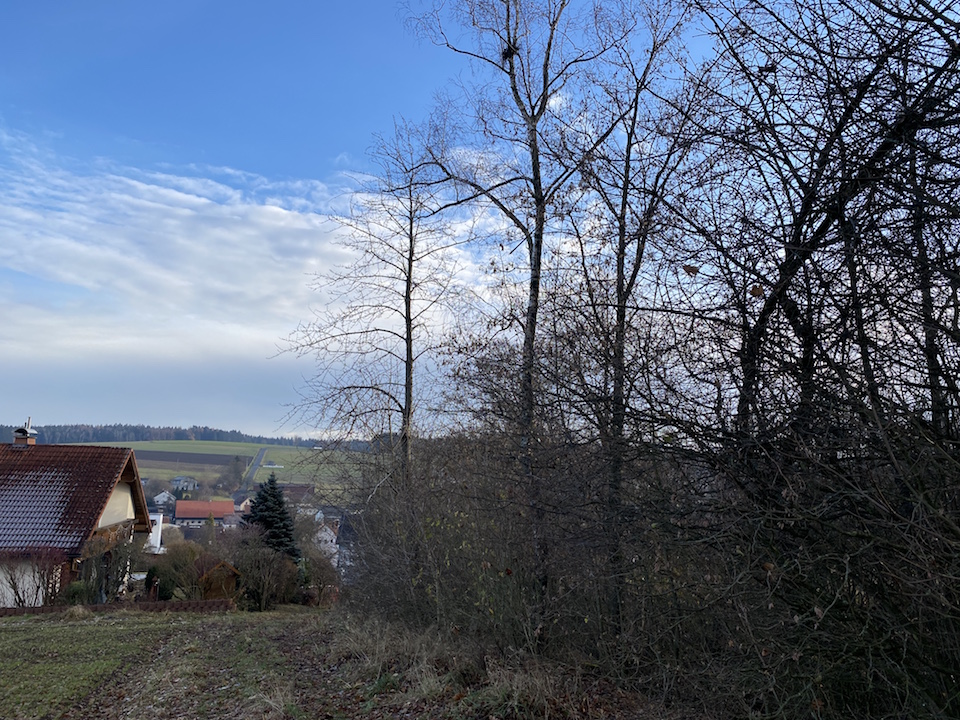 Hecken-Nachbar wehrt sich gegen den Vorwurf „Umweltsünder“