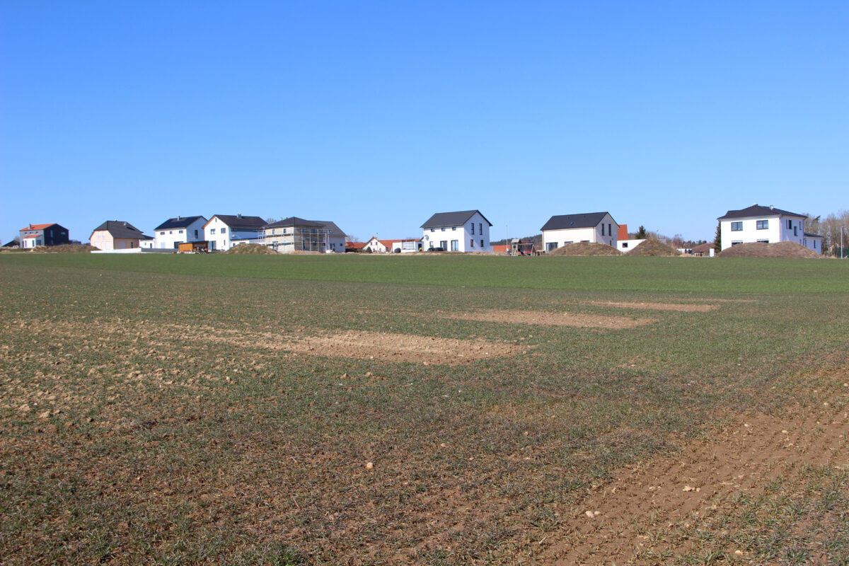 Baugebiet mit 20 Parzellen in Planung