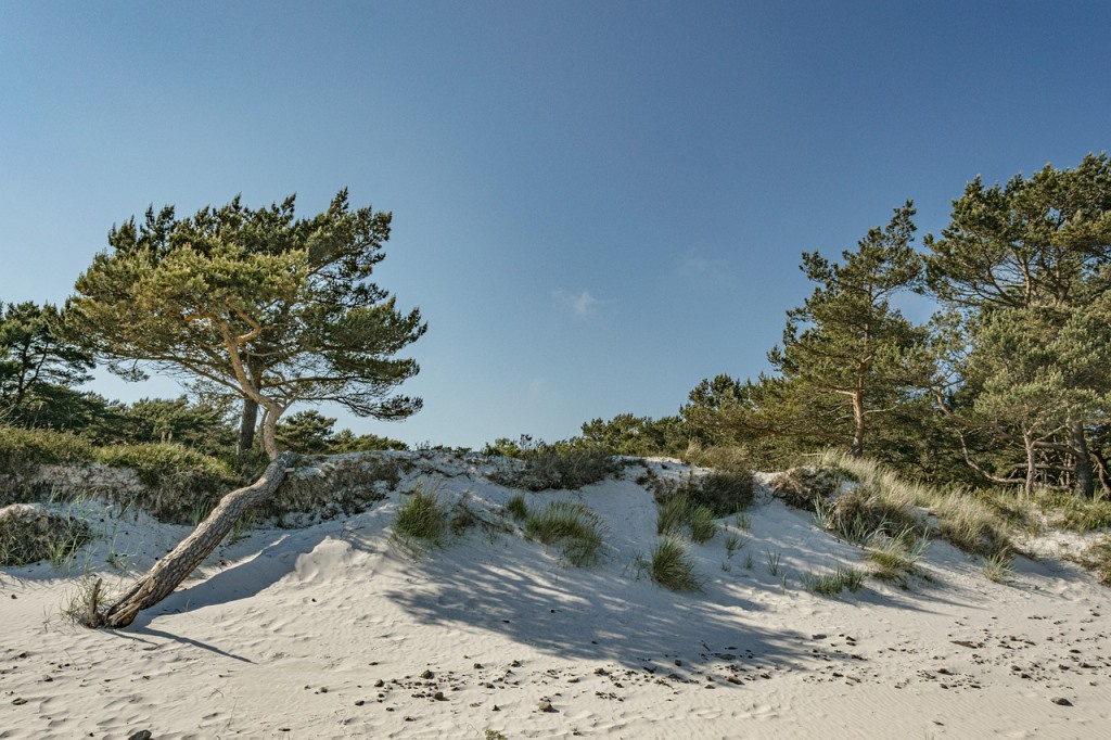 Reise an die Ostsee mit Grafenwöhrer Reisefreunden