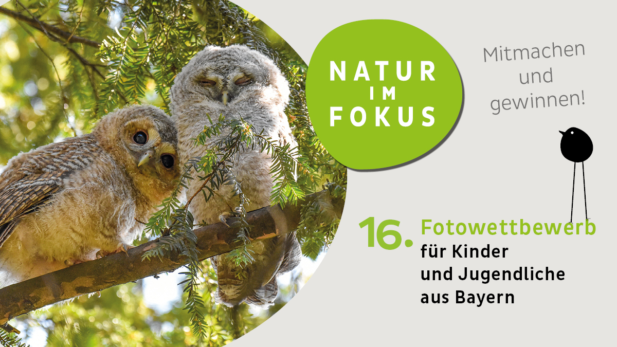Fotowettbewerb: „Natur im Fokus“ für Kinder und Jugendliche