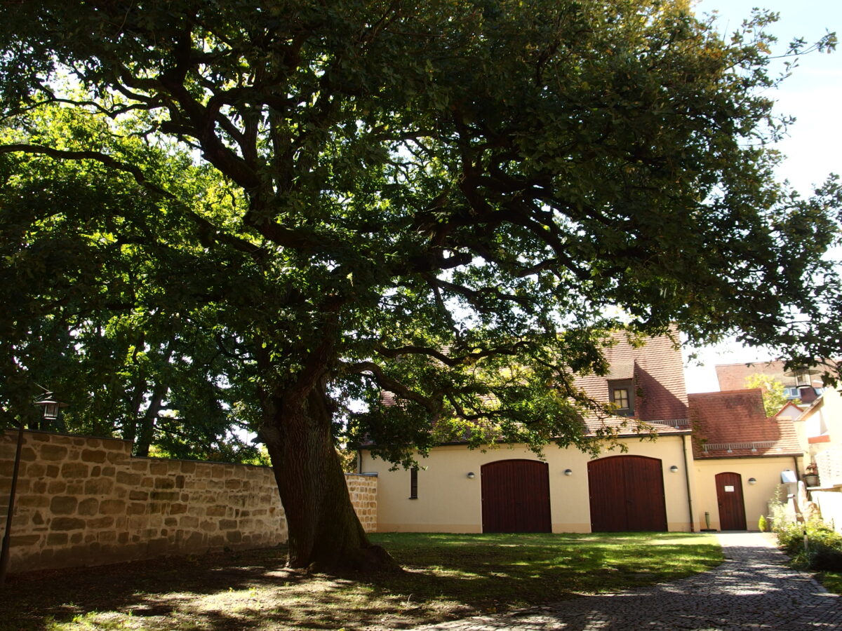 Maifrühschoppen im Museum