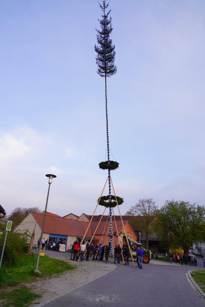 Dorfkultur pur beim Maibaumaufstellen in Albersrieth