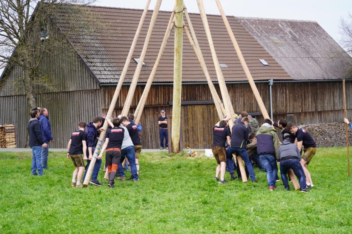 Maibaum an der Auffahrt zum Fahrenberg