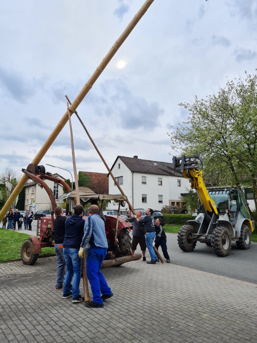 Schnupferclub hält die Tradition hoch: 22 Meter hoher Maibaum