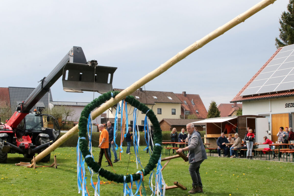 Ein Prachtstück schmückt nun die Otto-Riebl-Anlage