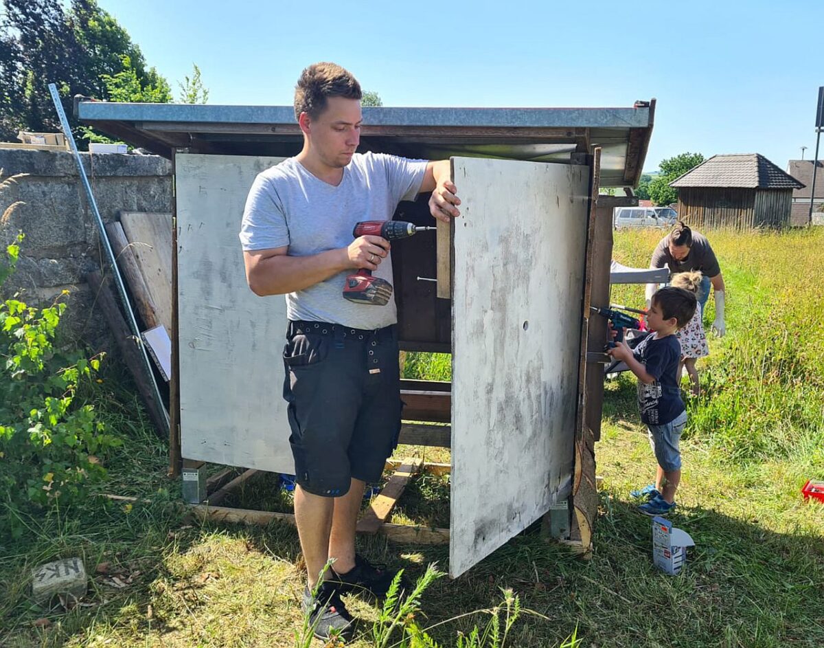 Stadtbienen werden zu Landbienen