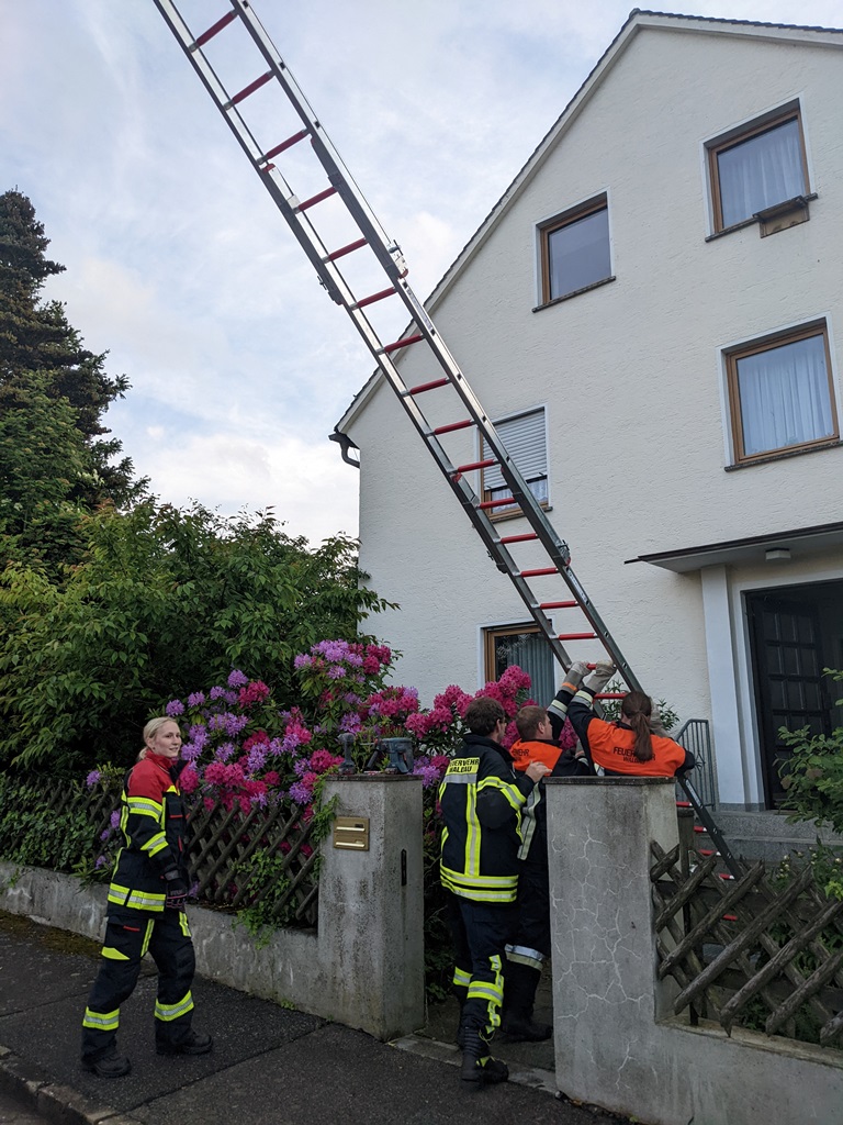 Feuerwehr Waldau steigt für Mauersegler in luftige Höhen