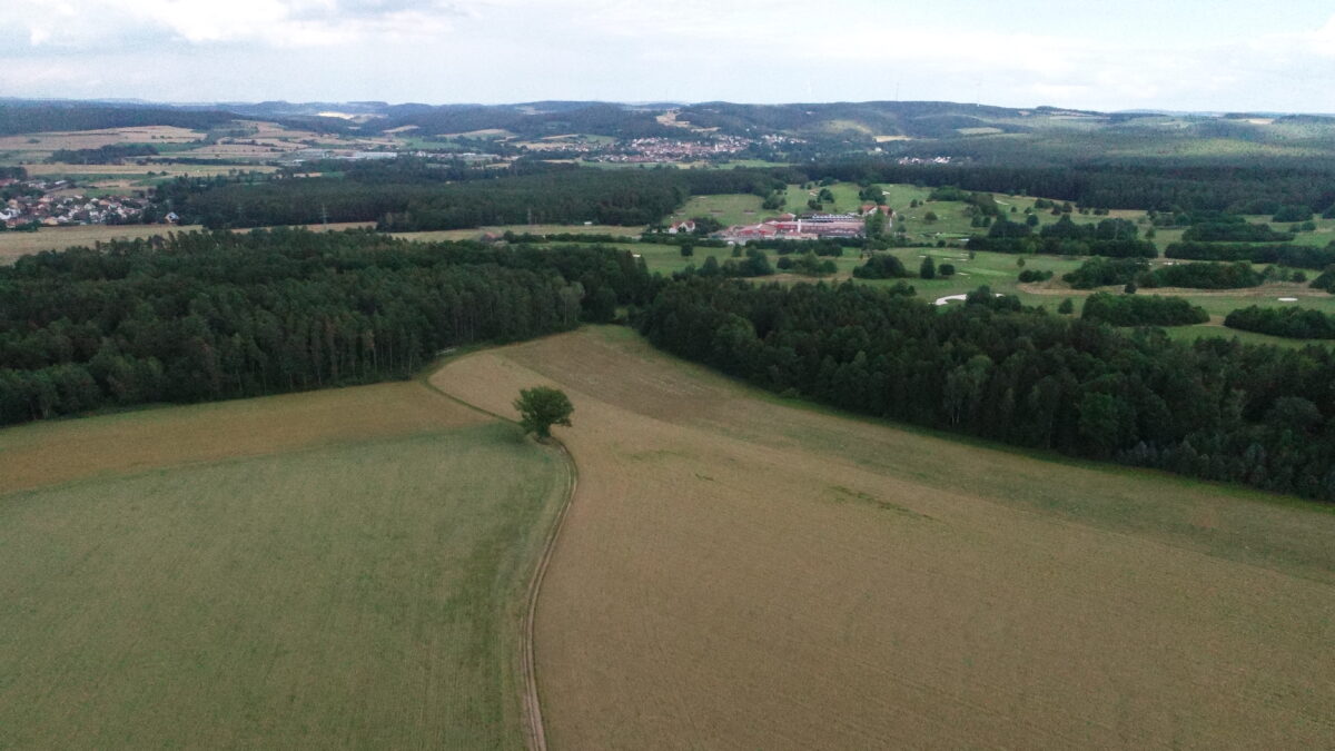 Marktrat gibt Grünes Licht für den Bau des „Solarparks Forsthof“
