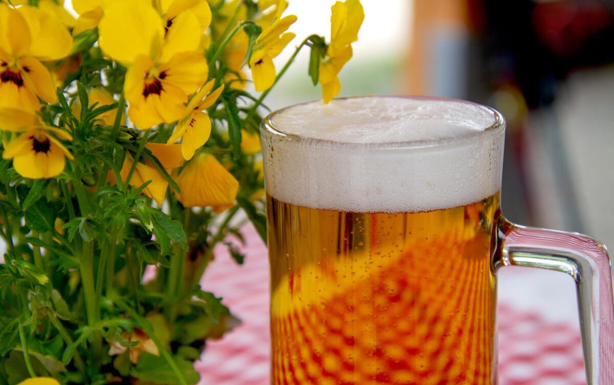 Altstadtfest in Sulzbach-Rosenberg: Festfreude, Musik, Sport, Geschichte und Kultur
