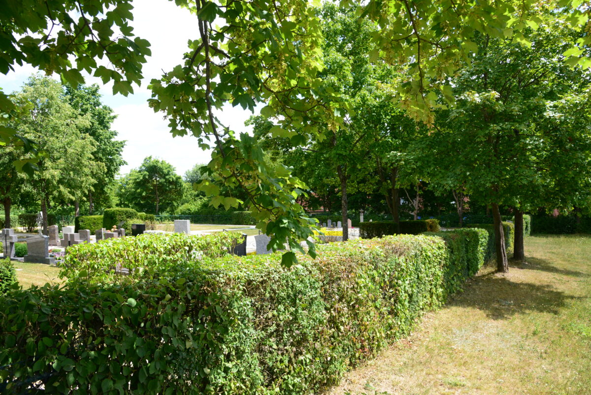 Neue Friedhofsmauer kommt: Dafür muss die Thujenhecke weichen