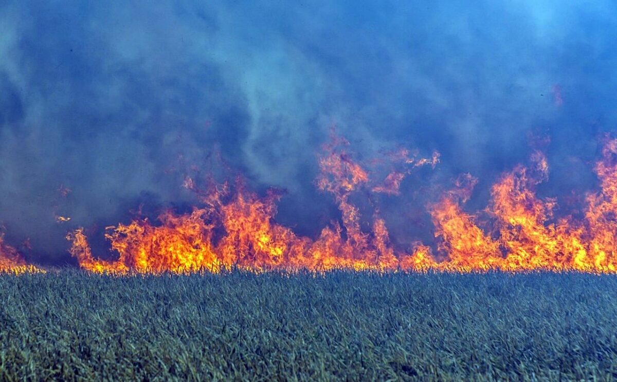 [Update] Flächenbrand in Etzenricht: Mehrere Feuerwehren im Einsatz