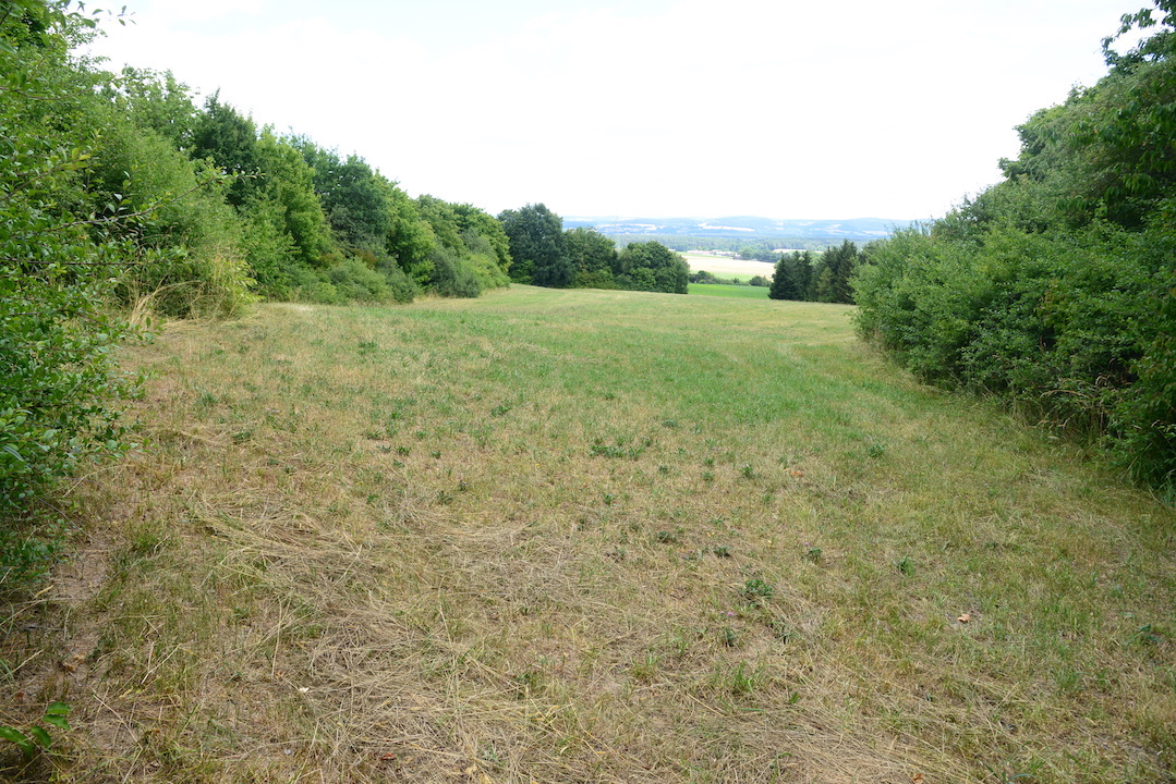 Grünes Licht für eine weitere Freiflächenphotovoltaikanlage