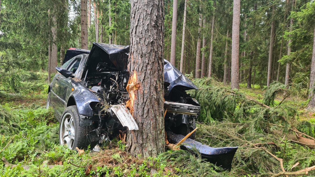 Gegen einen Baum gekracht: Autofahrer schwer verletzt