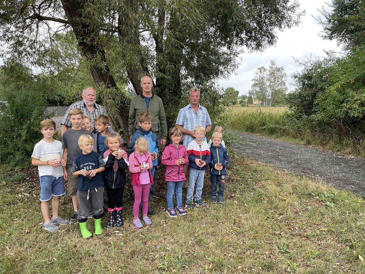 Kinder lernen die unverzichtbaren kleinen Krabbler kennen
