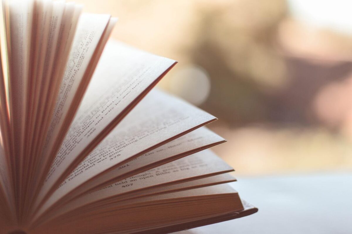 Dieses Genre lesen die Nordoberpfälzer am liebsten