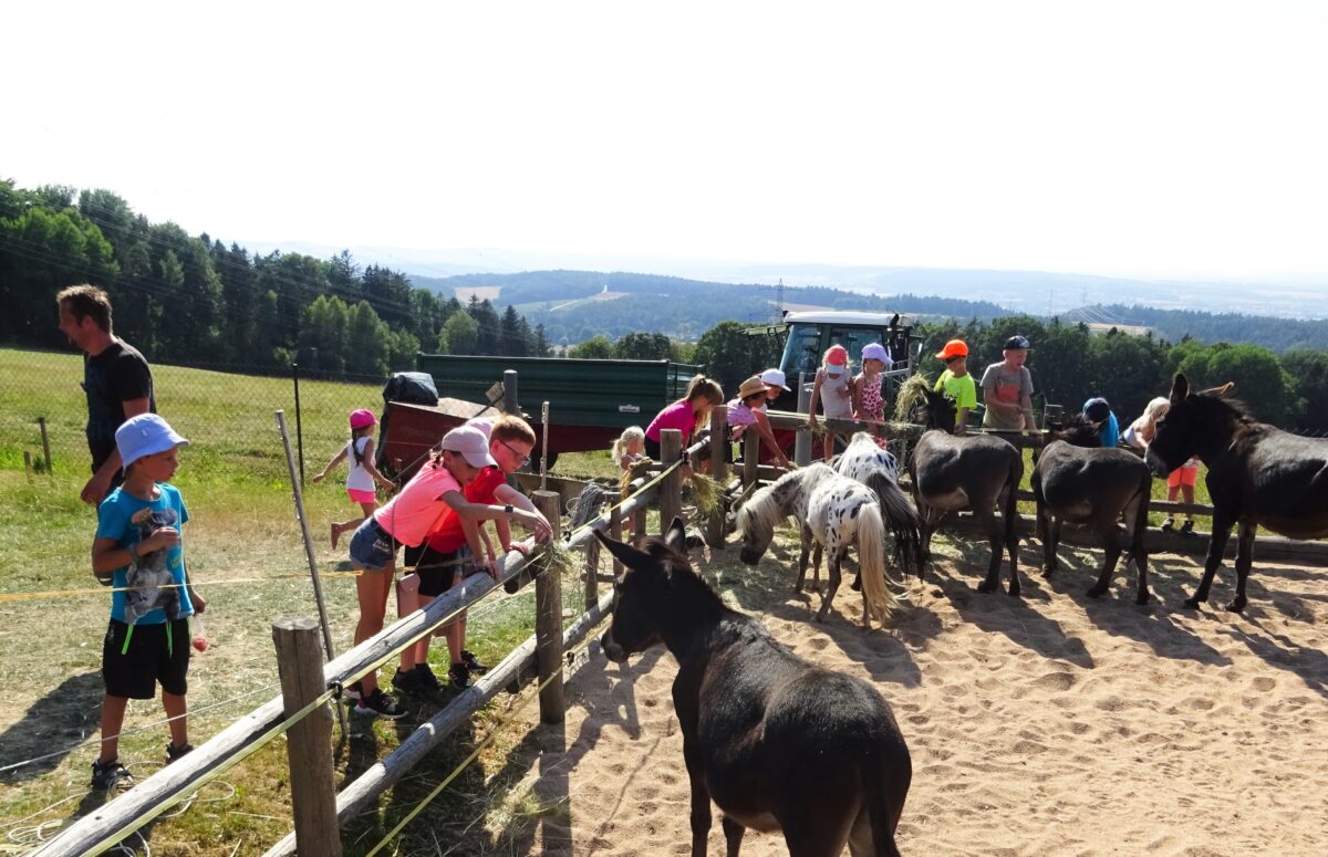 Ferienprogramm des Oberpfälzer Waldvereins: Gaudi auf der Gowerlalm