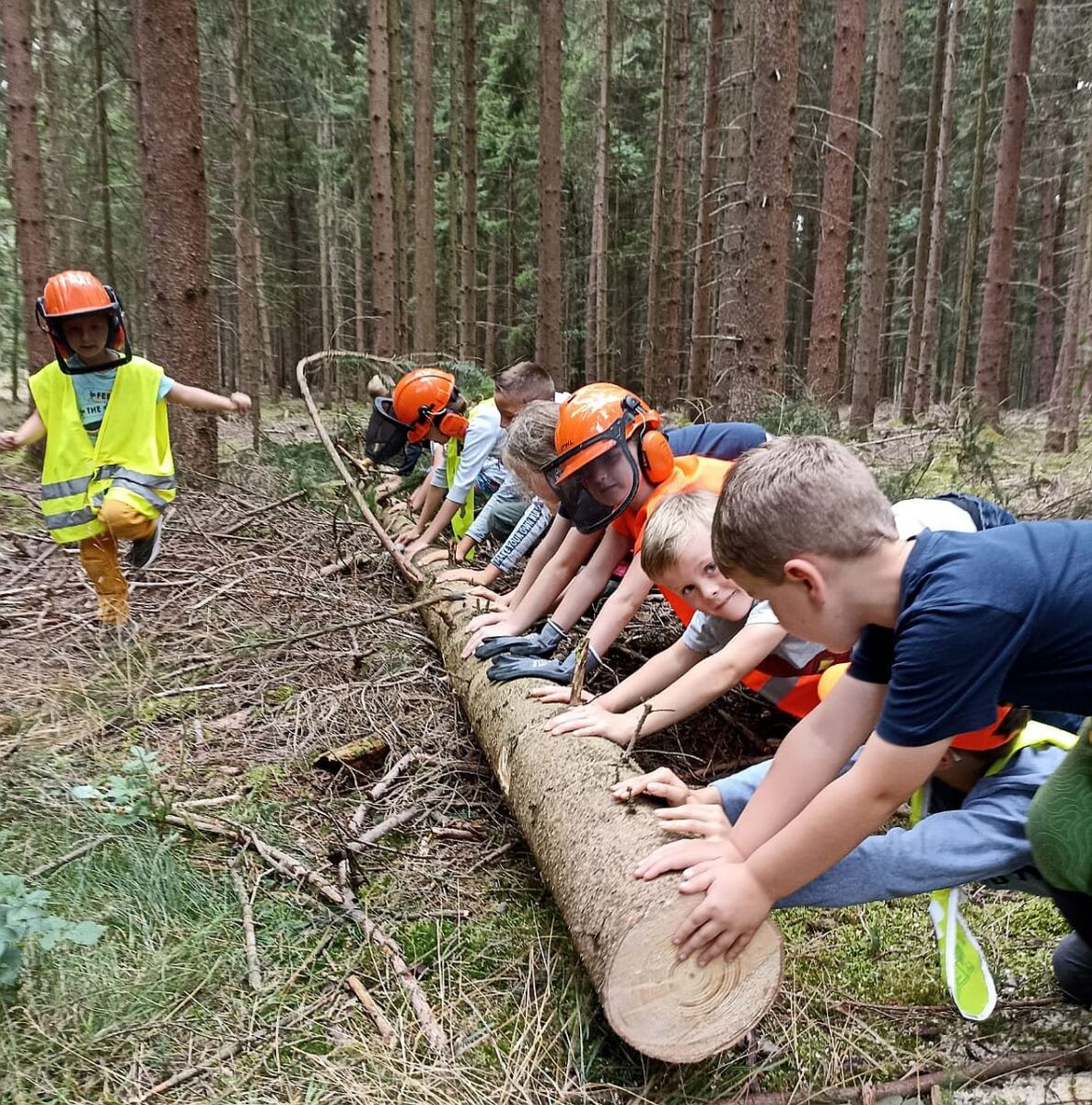 Kinder lernen im Ferienclub die Waldarbeit kennen