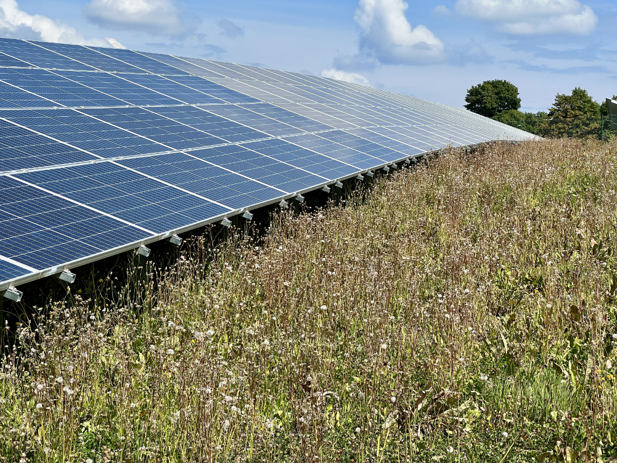 Vorsichtiges Ja zur Erweiterung des Flossenbürger Solarparks
