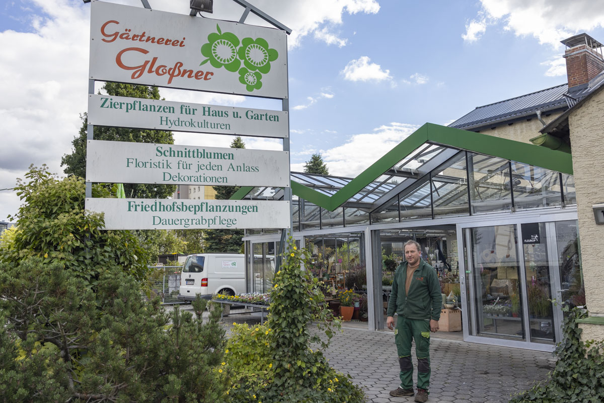 Wenn es in der Wohnung so richtig gemütlich wird: Tipps und Tricks vom Gärtnermeister