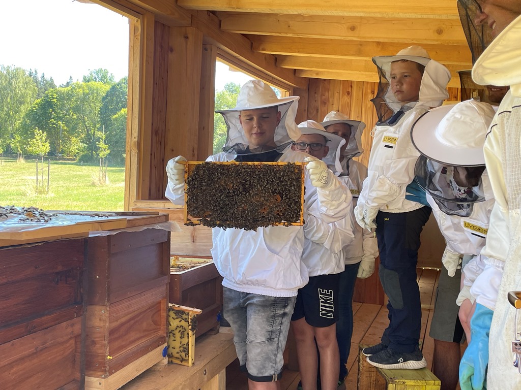 Kinder besuchen Jungimker